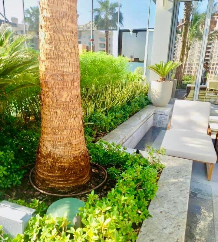 The St. Regis Dubai, The Palm