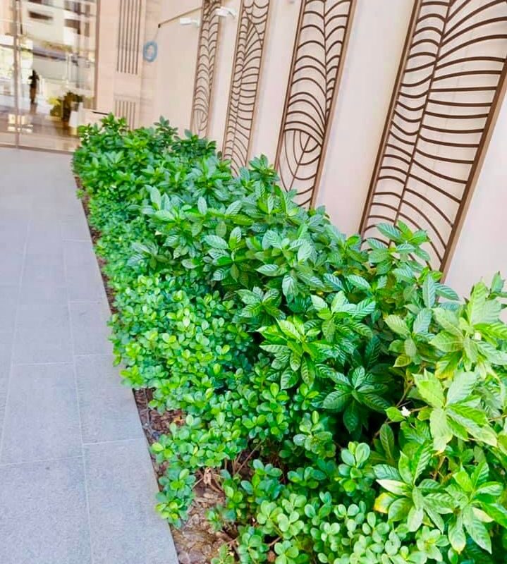 The St. Regis Dubai, The Palm
