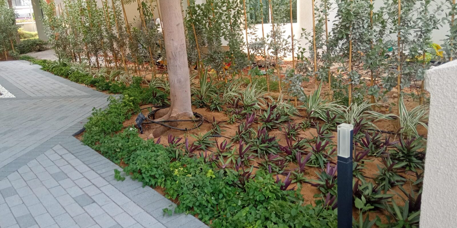 Palm Jumeirah