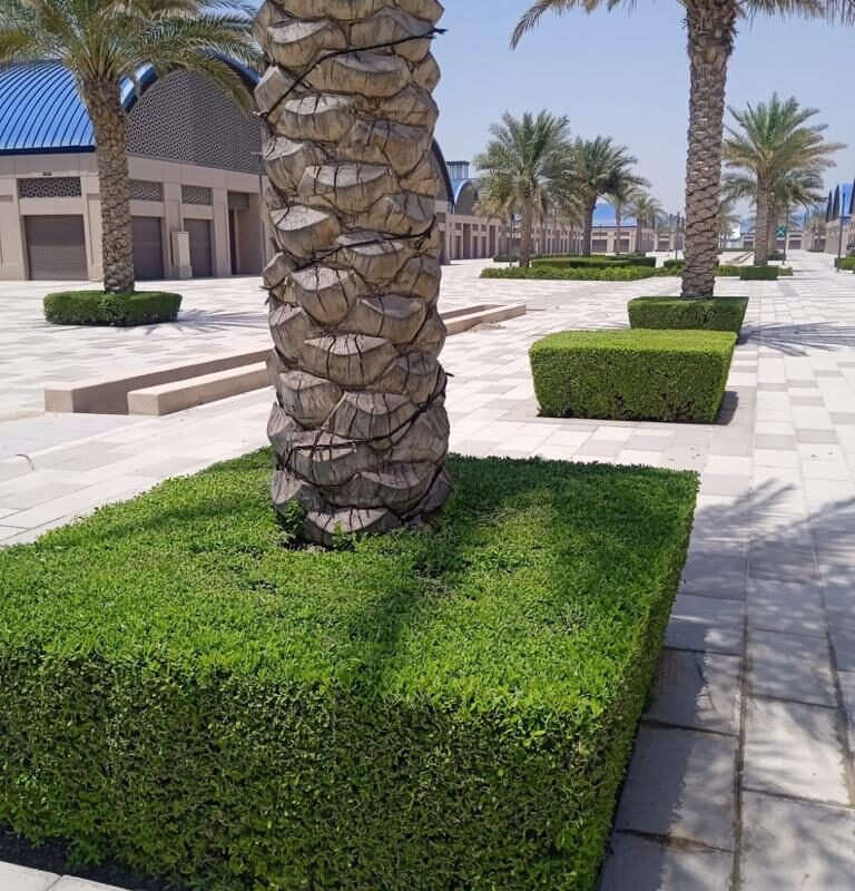 Souk al marfa