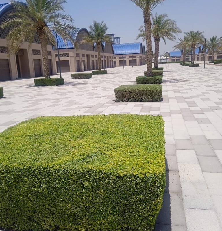 Souk al marfa