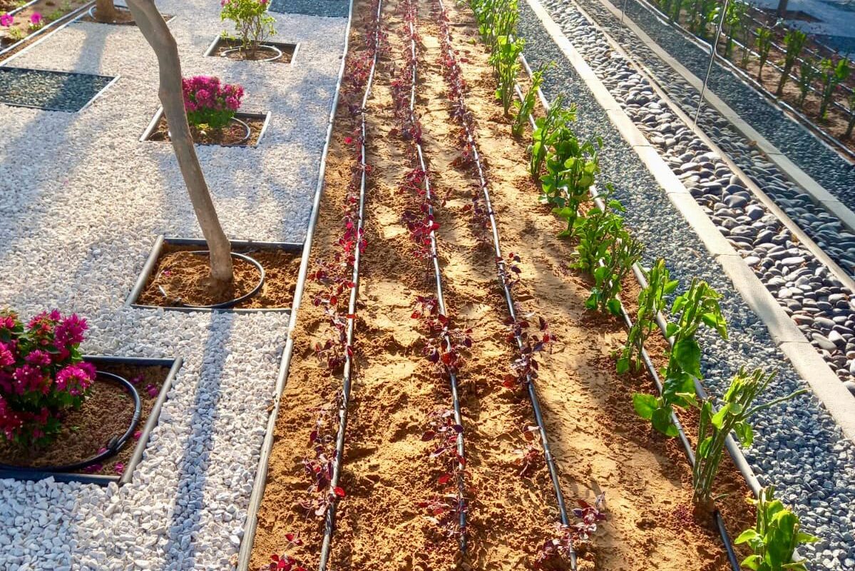 Dubai Studio City