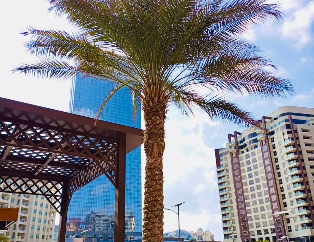 Palm Jumeirah