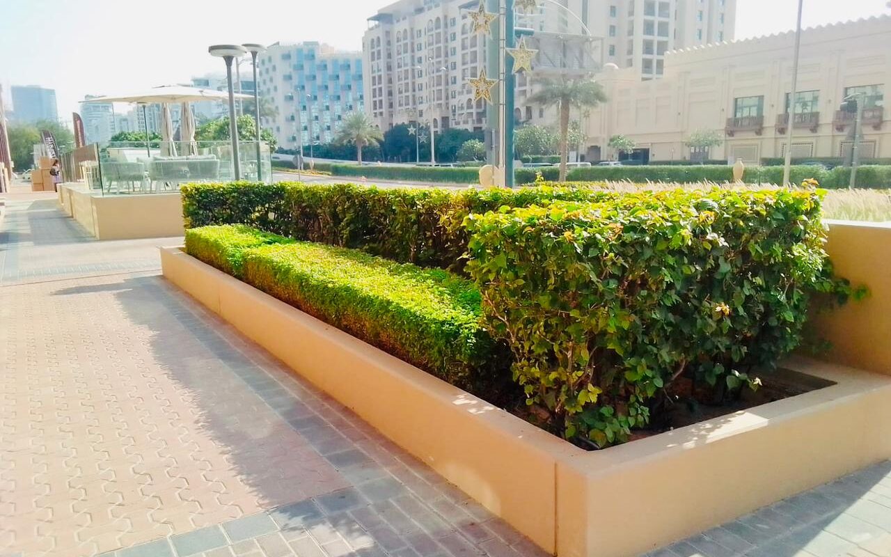 Palm Jumeirah